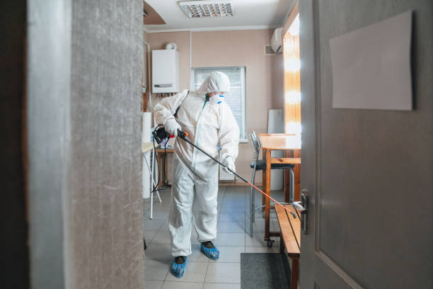 Why You Should Choose Our Mold Remediation Services in Porterville, CA